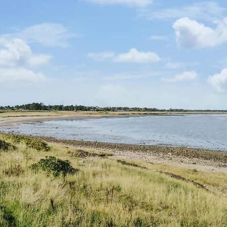 2 Bedroom Beautiful In * Romo